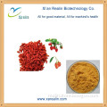 factory supply Goji berry organic powder/Goji Berry Extract Lycium barbarum L.